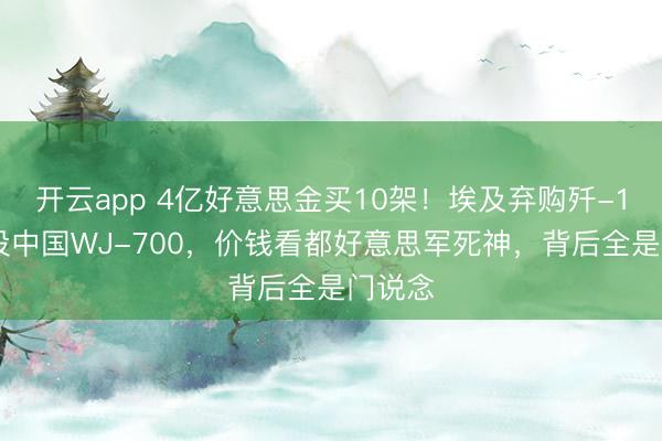 开云app 4亿好意思金买10架！埃及弃购歼-10C转投中国WJ-700，价钱看都好意思军死神，背后全是门说念