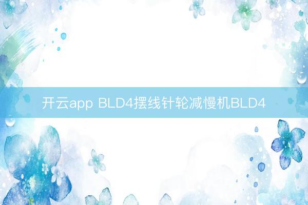 开云app BLD4摆线针轮减慢机BLD4