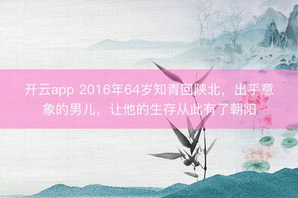 开云app 2016年64岁知青回陕北，出乎意象的男儿，让他的生存从此有了朝阳