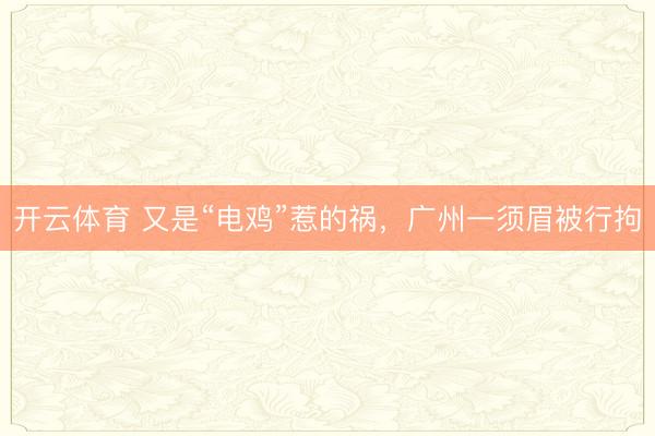 开云体育 又是“电鸡”惹的祸,广州一须眉被行拘
