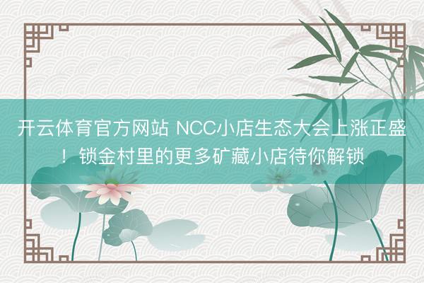 开云体育官方网站 NCC小店生态大会上涨正盛!锁金村里的更多矿藏小店待你解锁