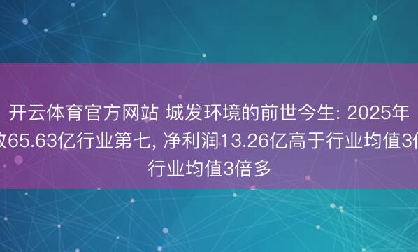 开云体育官方网站 城发环境的前世今生: 2025年营收65.63亿行业第七， 净利润13.26亿高于行业均值3倍多
