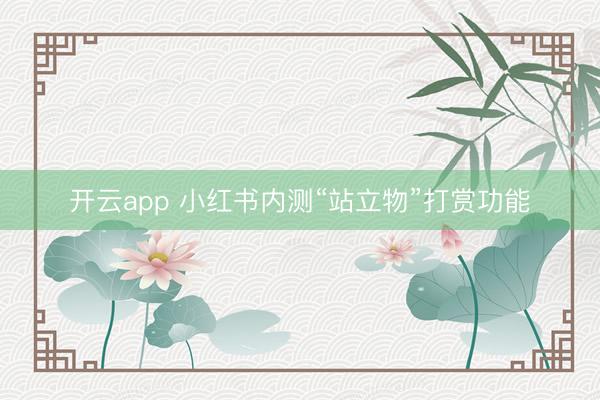 开云app 小红书内测“站立物”打赏功能