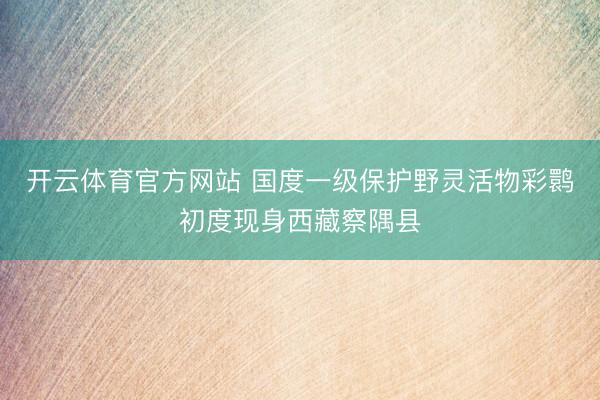 开云体育官方网站 国度一级保护野灵活物彩鹮初度现身西藏察隅县